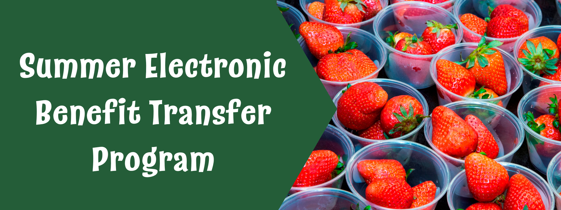 Summer Electronic Benefit Transfer Program CDE